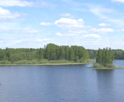 usv.gif